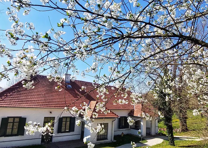 Villabogart Eskuevo-es Rendezvenyhelyszin Alsobogat