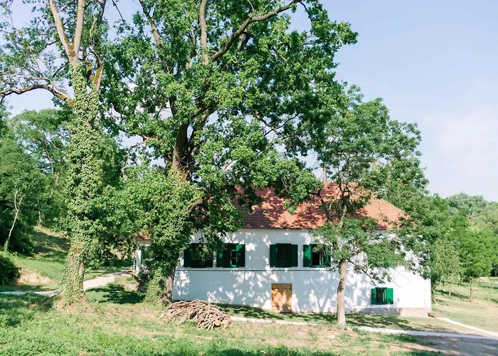 Villabogart Eskuevo-es Rendezvenyhelyszin *