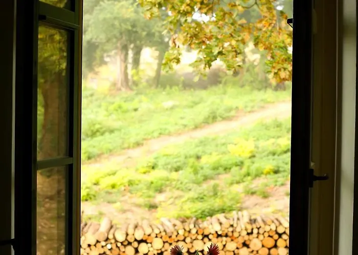 Feriehus Villabogart Eskuevo-es Rendezvenyhelyszin Alsobogat